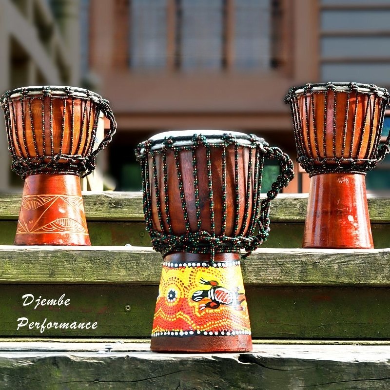 Djembe Hand Drum - Children Beginner Small African Drum Solid