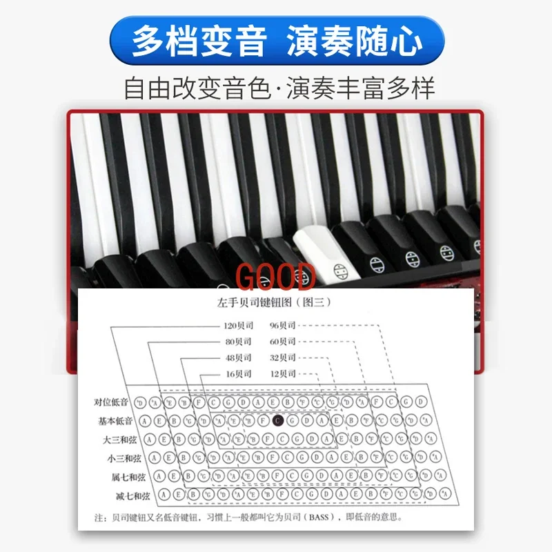 Parrot Brand Bayan Accordion M - đánh giá và giá Musical Instrument Brands