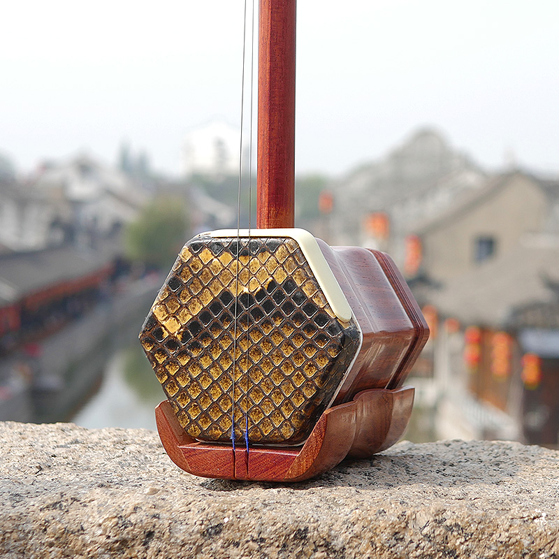 Professional Dunhuang Brand 06 - đánh giá và giá Musical Instrument Brands