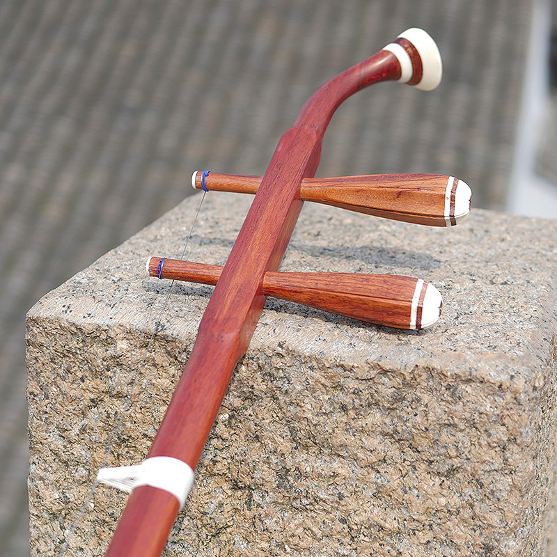 Professional Dunhuang Brand 06 - đánh giá và giá Musical Instrument Brands